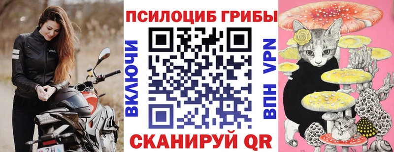Купить  Черногорск  Галлюциногенные грибы Cubensis 
