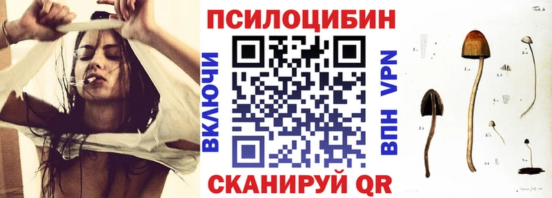 Галлюциногенные грибы Psilocybe Черногорск